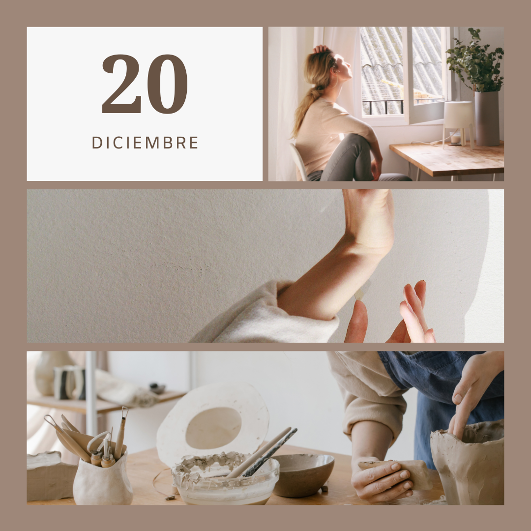 Programa Diana 20 de Diciembre
